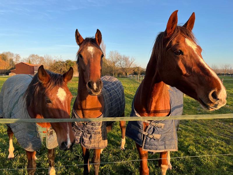 Les Ecuries du Dropt