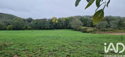 Terrain - 4 911 m²