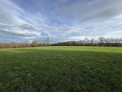 Maison ancienne - 150 m² - 5 pièces
