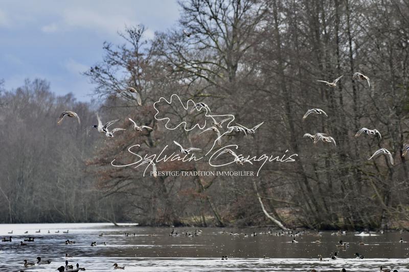 Propriété - 800 m² - 25 pièces