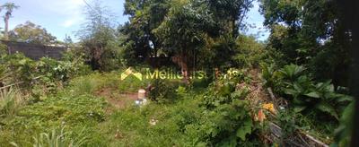 Terrain constructible - 5 300 m²