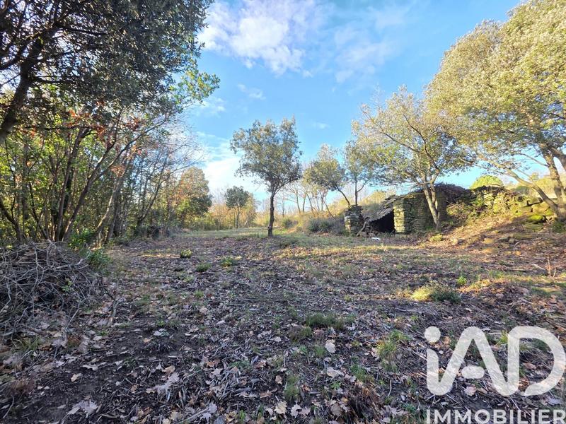 Terrain agricole - 15 457 m²