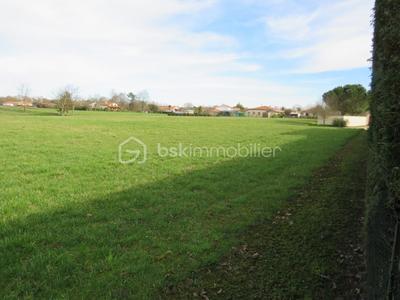 Terrain - 8 141 m²