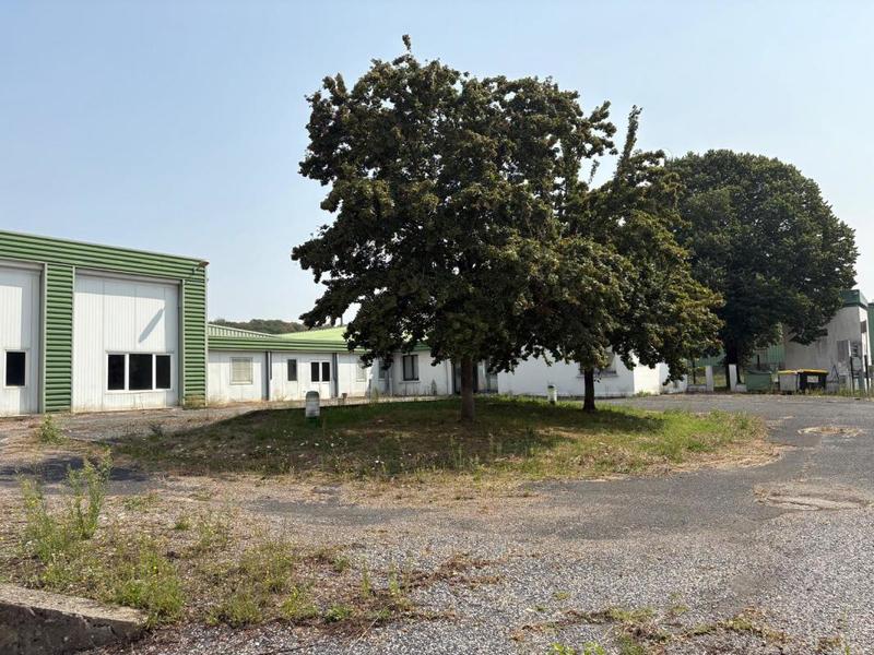 Bureau - 3 000 m² - 15 pièces