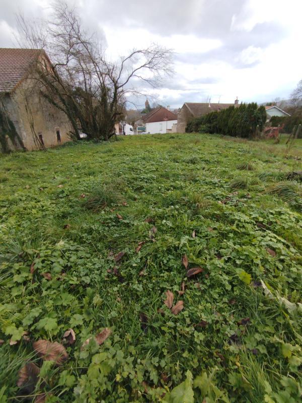 Terrain constructible - 1 291 m²