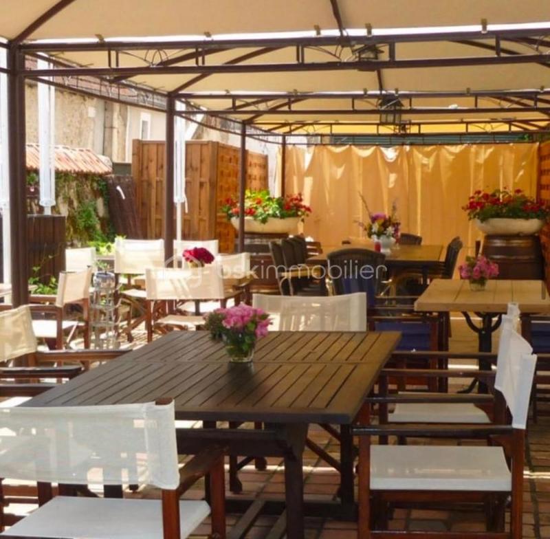 Hôtel particulier - 394 m² - 10 pièces