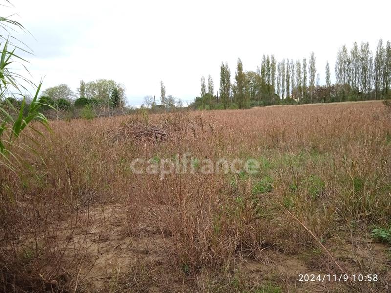 Terrain agricole - 6 250 m²