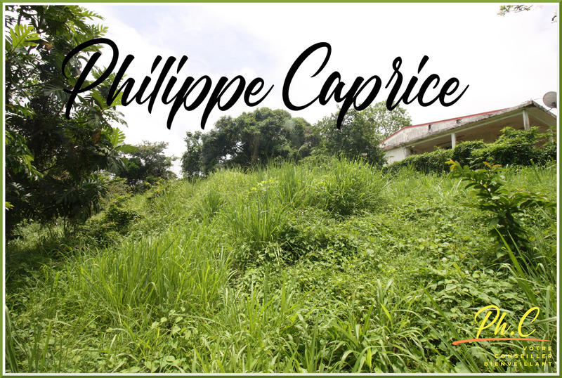 Terrain constructible - 1 015 m²