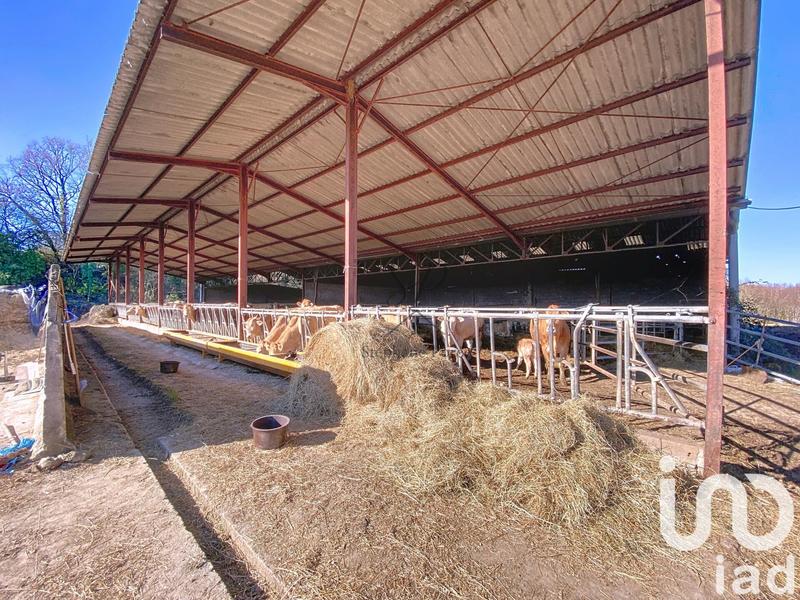 Maison - 415 m² - 15 pièces