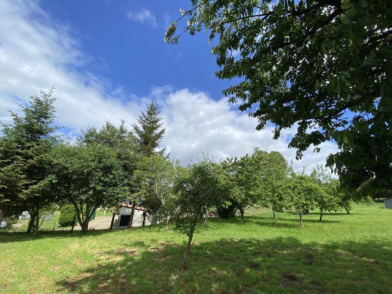 Maison en pierre - 80 m² - 3 pièces