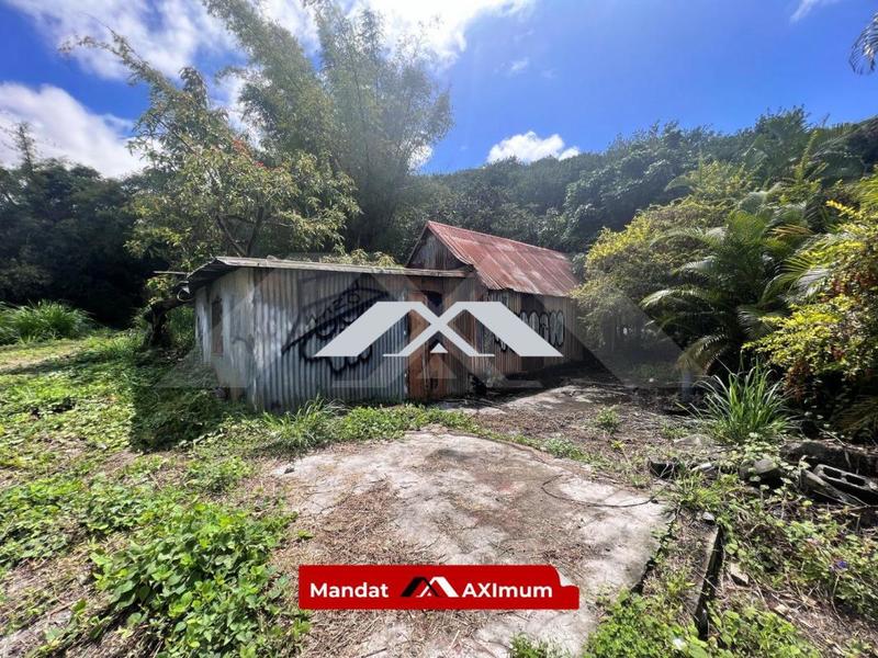 Terrain constructible - 734 m²