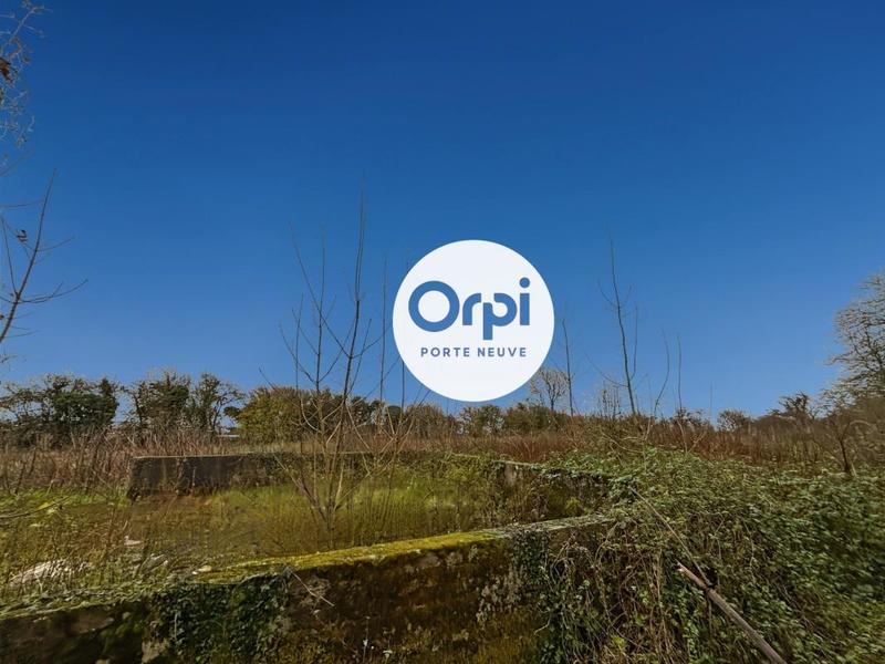 Terrain agricole - 10 917 m²