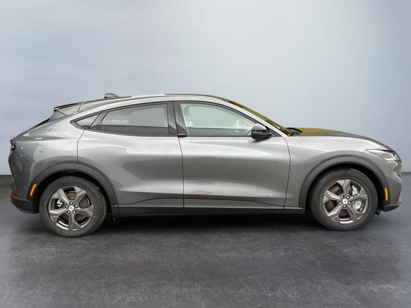 Ford Mustang Mach-E Standard Range 76 kWh 269 ch