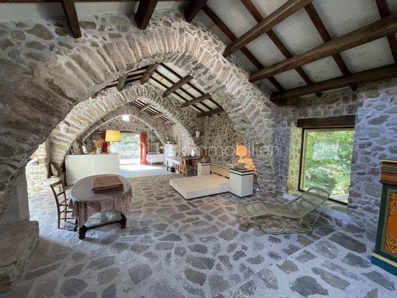 Maison en pierre - 366 m² - 6 pièces