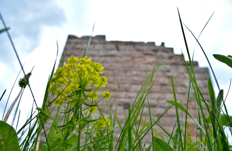 Balade ludique - le château du Hohnack