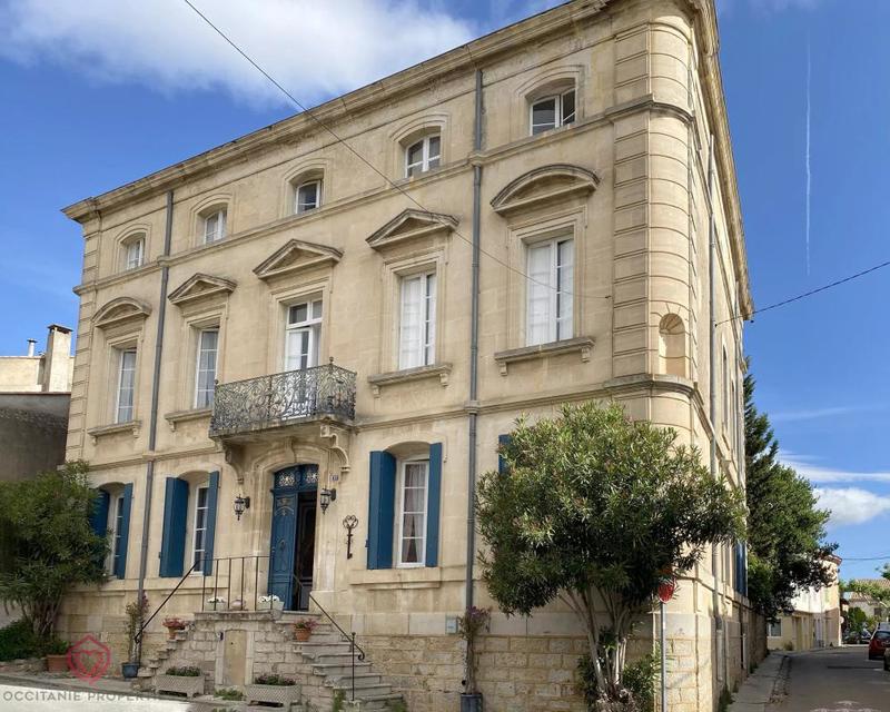 Hôtel particulier - 433 m² - 12 pièces