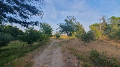 Terrain commercial - 17 000 m²