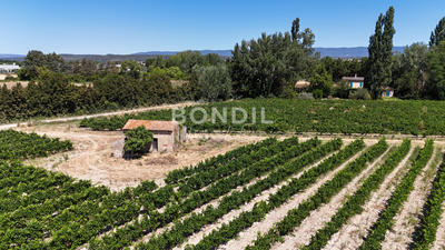 Terrain agricole - 30 000 m²