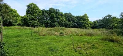 Maison - 157 m² - 9 pièces