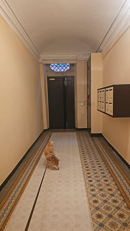 Appartement - 66 m² - 2 pièces