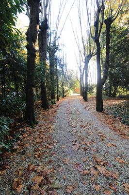 Maison - 289 m² - 15 pièces