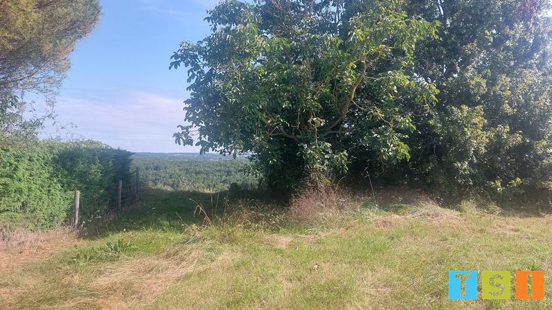 Terrain constructible - 5 900 m²