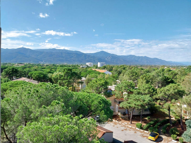 Appartement - 37 m² - 1 pièce