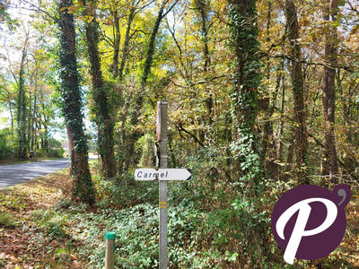 Terrain de loisirs - 151 213 m²