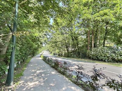 Terrain constructible - 1 834 m²