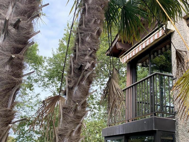 Duplex - 42 m² - 2 pièces