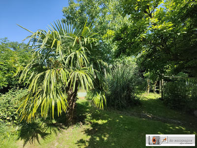 Maison ancienne - 110 m² - 5 pièces