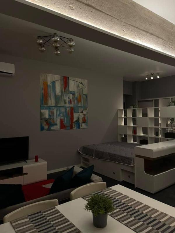 Studio - 24 m² - 1 pièce