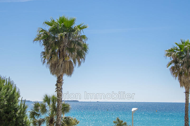 Appartement - 24 m² - 1 pièce