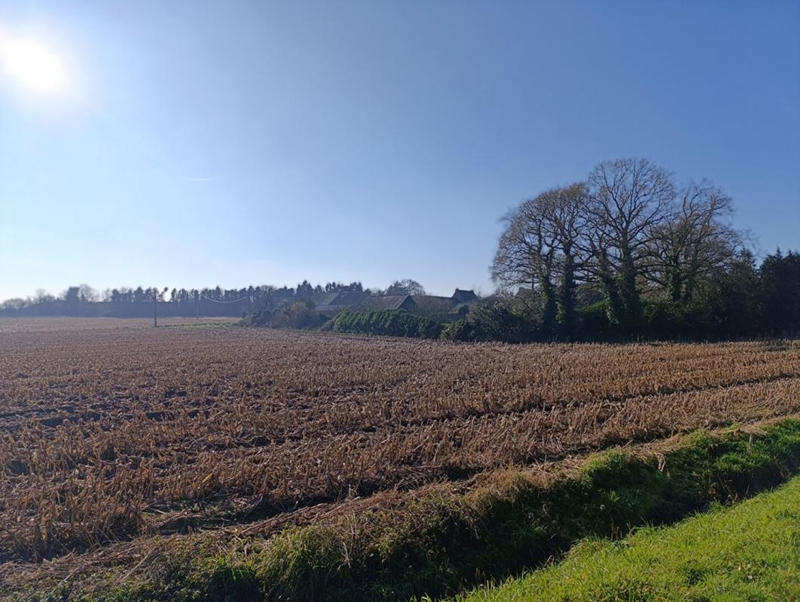 Corps de ferme - 660 m² - 1 pièce