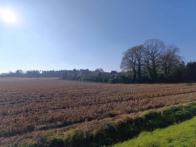 Corps de ferme - 660 m² - 1 pièce