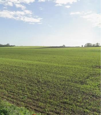 Terrain constructible - 717 m²