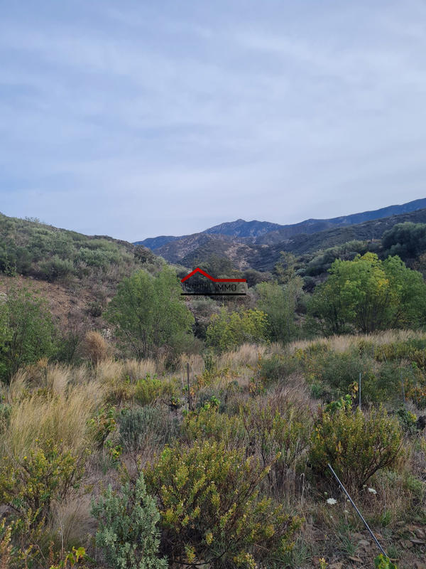 Terrain agricole - 10 225 m²