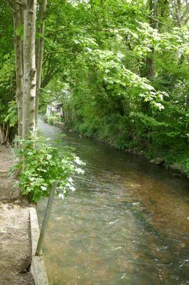 Maison - 220 m² - 7 pièces