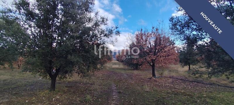Terrain agricole - 45 000 m²
