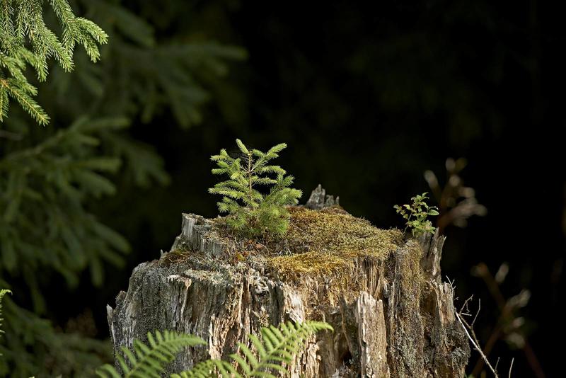 Sentiers Plaisir : le sentier des Passeurs
