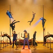 The Award - Back Pocket - le Radiant - Caluire