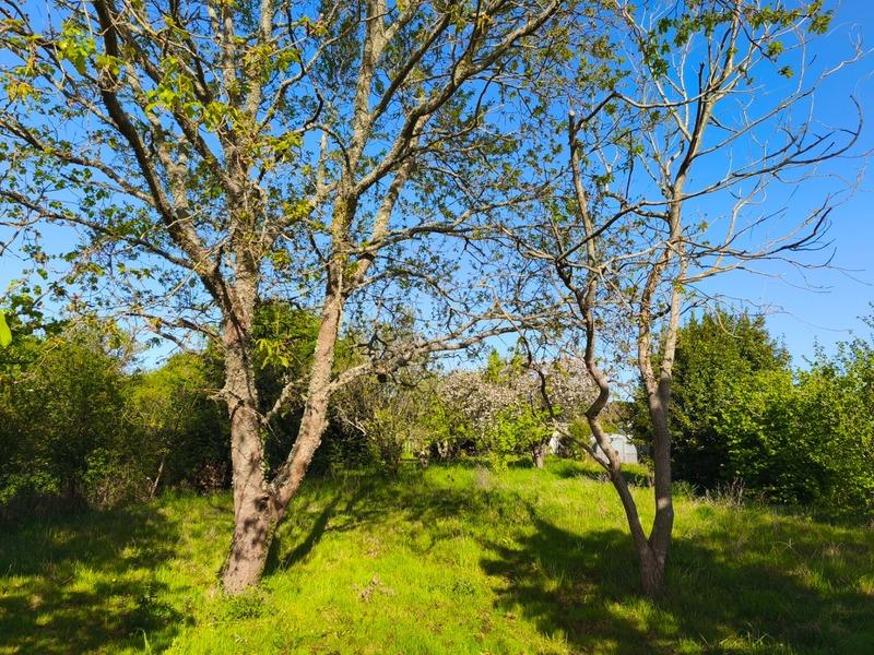 Maison - 85 m² - 7 pièces