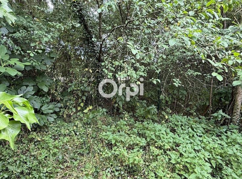 Maison - 57 m² - 2 pièces