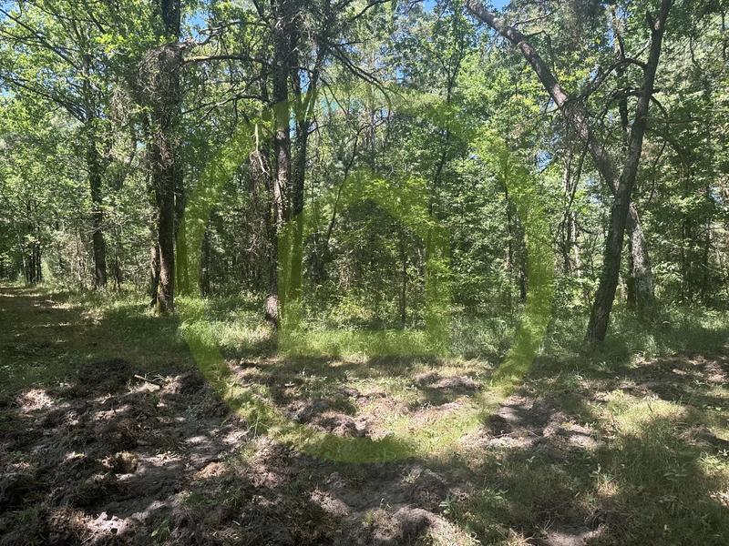 Propriété - 143 m² - 6 pièces