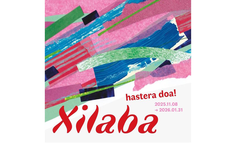 Xilaba - concours de Bertsulari