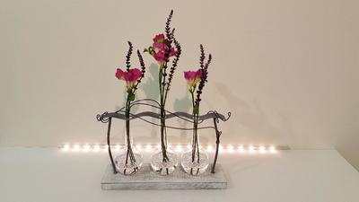 L'Essence des Sèves