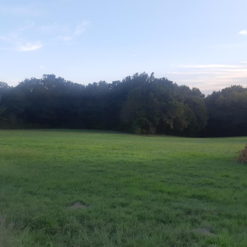 Terrain constructible - 2 120 m²