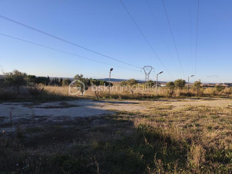 Terrain agricole - 35 000 m²