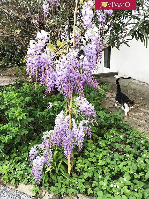 Maison - 332 m² - 10 pièces