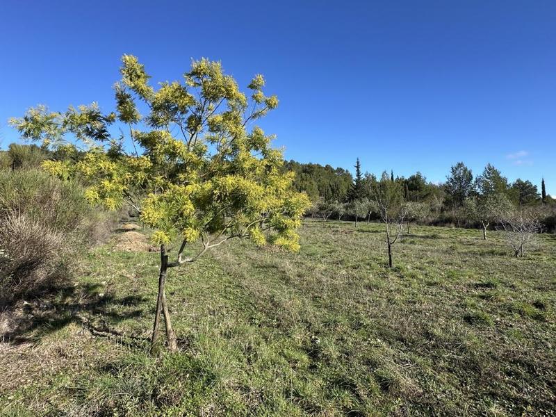 Terrain de loisirs - 10 189 m²